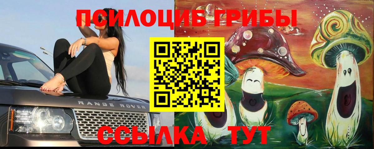 Псилоцибиновые грибы мухоморы Королёв