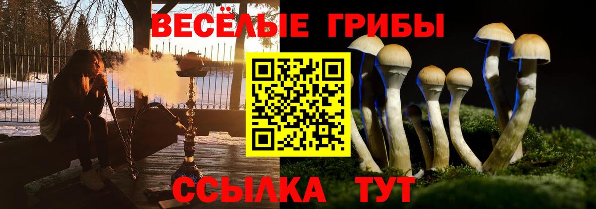 Псилоцибиновые грибы мицелий  Вход с VPN  Королёв 